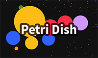 Petri Dish