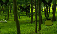 Evasion forêt verte