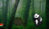 Evasion forêt des pandas