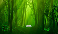 Evasion forêt mystérieuse 4