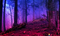 Perdu dans une forêt en pleine nuit