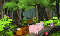 Aider le cochon perdu dans la forêt