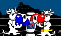 Boxe entre vaches