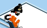 Curling avec des singes