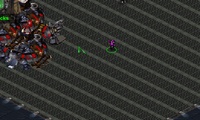 Starcraft Flash RPG