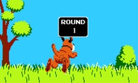 Duck hunt