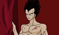 Habillage Vegeta