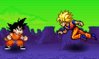 Dragon Ball Z Combat