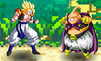 Dragon Ball Fierce Fighting 2.8